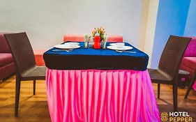 Hotel Pepper Hisar 3*